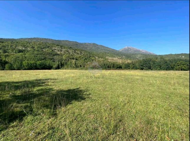 Plac 5.000m2 za gradnju kuće, Ćurilac - Danilovgrad