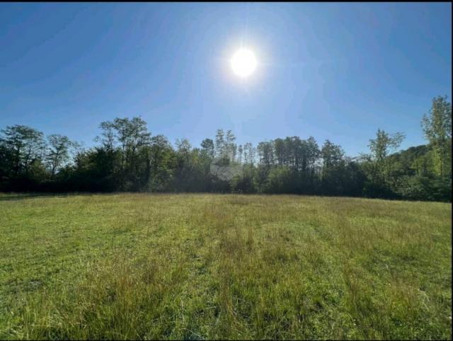 Plac 5.000m2 za gradnju kuće, Ćurilac - Danilovgrad