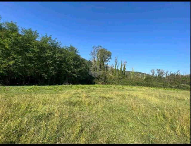 Plac 5.000m2 za gradnju kuće, Ćurilac - Danilovgrad