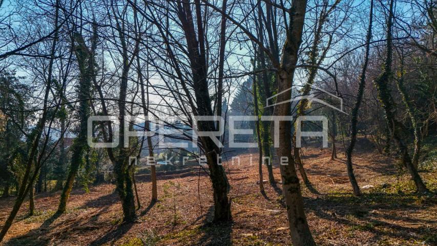 Prišlinova, Vrapče, 3.830,00 m2, 1,00 EUR