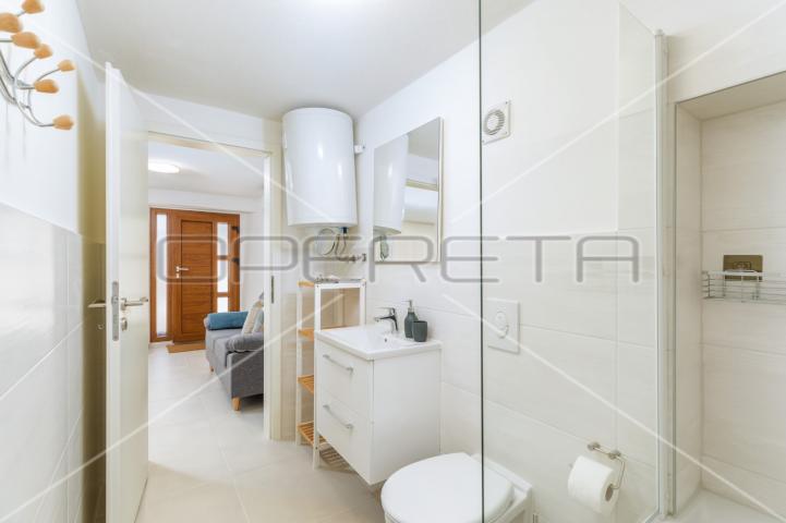 Istra, Šišan – Dvojna kuća s tri apartmana, idealna za investiciju