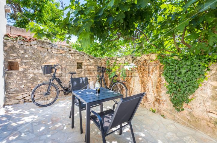 Istra, Šišan – Dvojna kuća s tri apartmana, idealna za investiciju