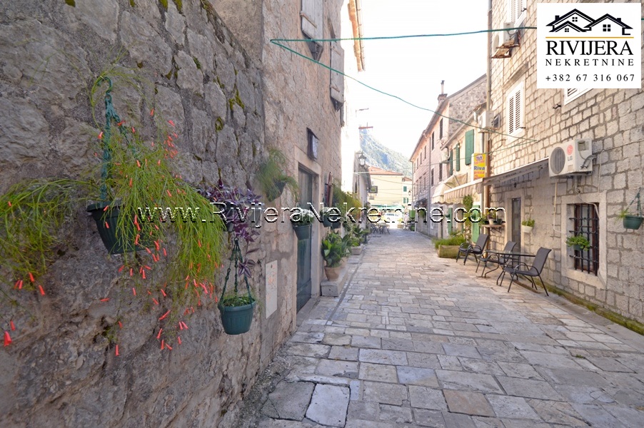Urbanisiertes Land Risan Kotor