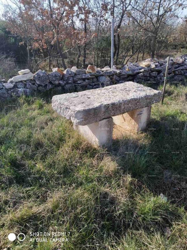 Kuća