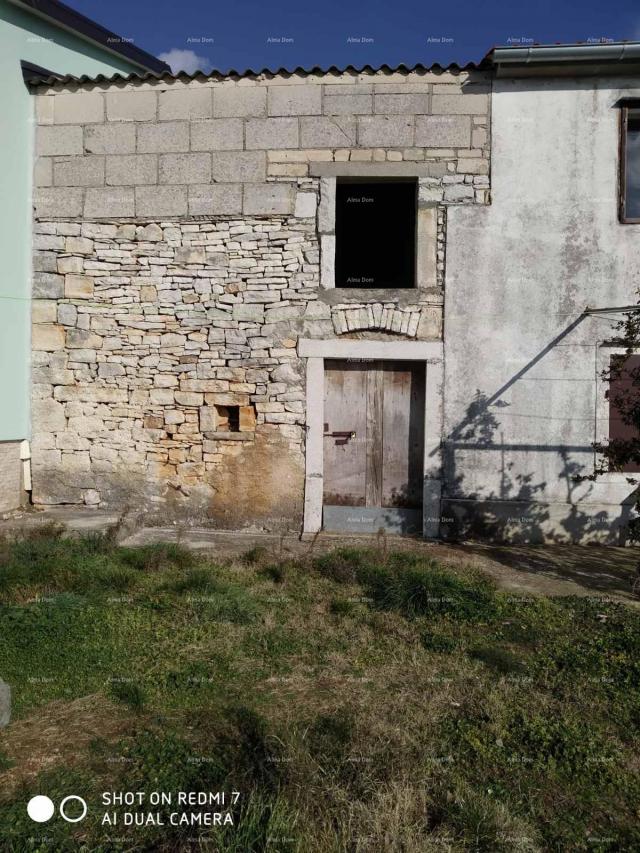 Kuća