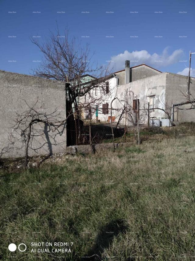 Kuća
