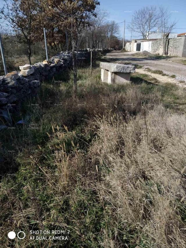 Kuća