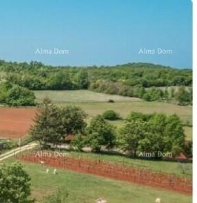 Building land We are selling construction land, near Poreč. Varvari
