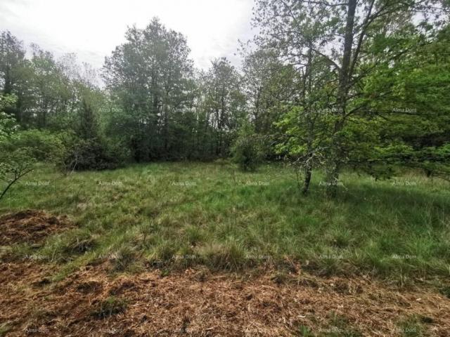 Građevinsko zemljište Prodaje se građevinsko zemljište, 1817m2, sa projektom kuće i građevinskom doz