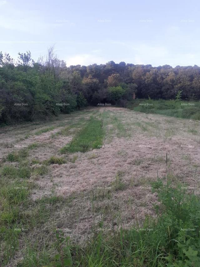 Građevinsko zemljište Prodaje se  zemljište u Banjolama