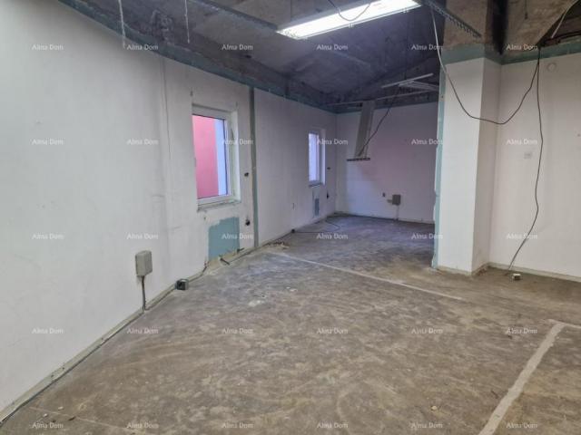 Poslovni prostor BUJE, POSLOVNI PROSTOR 156 M2