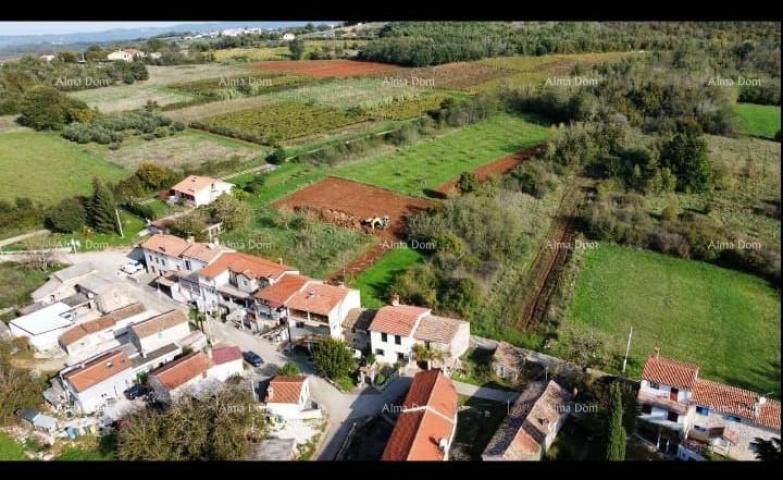 Građevinsko zemljište Prodaje se građevinsko zemljište, Vižinada