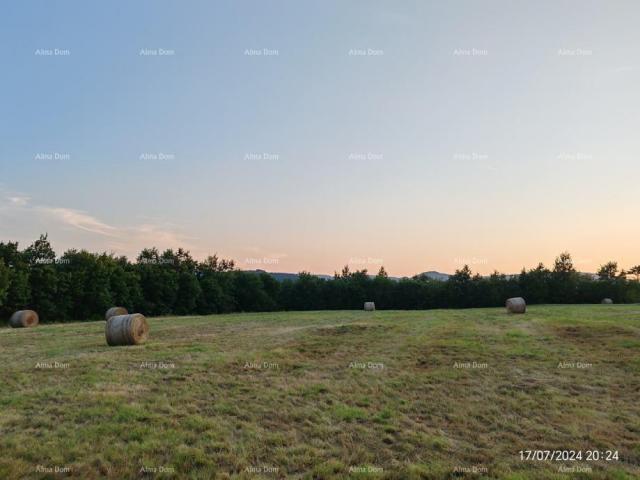 Bauland Baugrundstück 1.650 m² – Buzet, Istrien