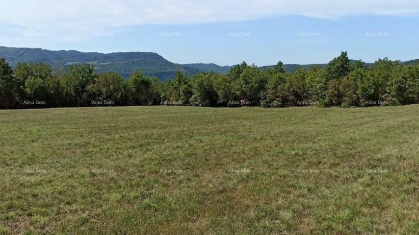 Bauland Baugrundstück 1.650 m² – Buzet, Istrien