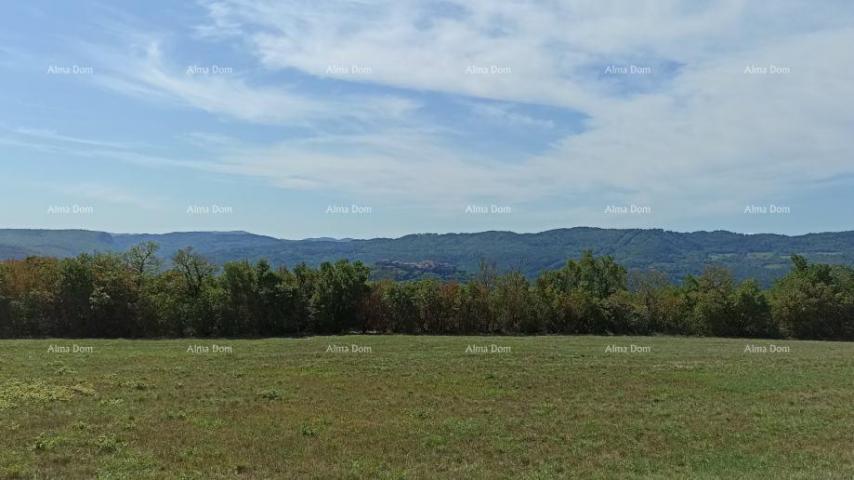 Bauland Baugrundstück 1.650 m² – Buzet, Istrien