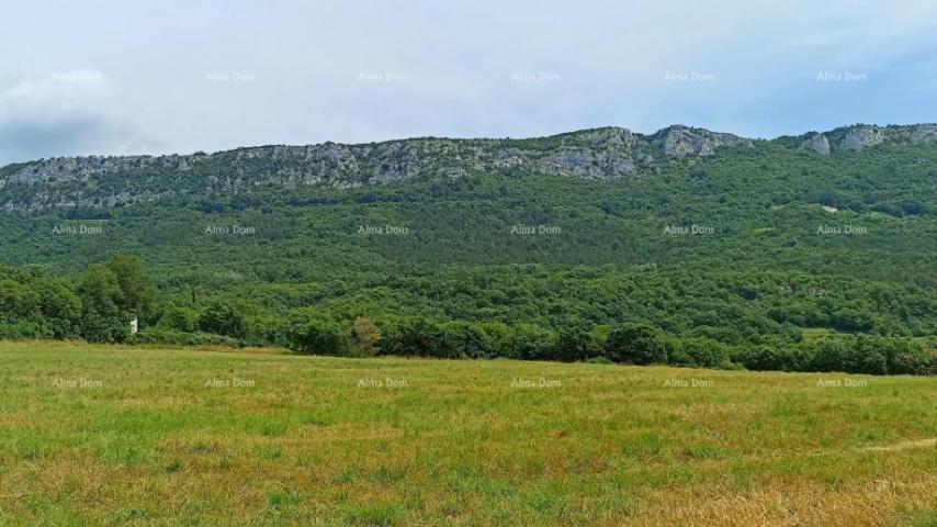 Bauland Baugrundstück 1.650 m² – Buzet, Istrien
