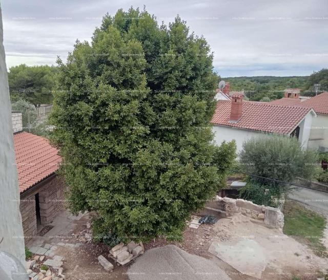 Haus Zu verkaufen: Haus mit Weinkeller in der Renovierungsphase, Krnica!
