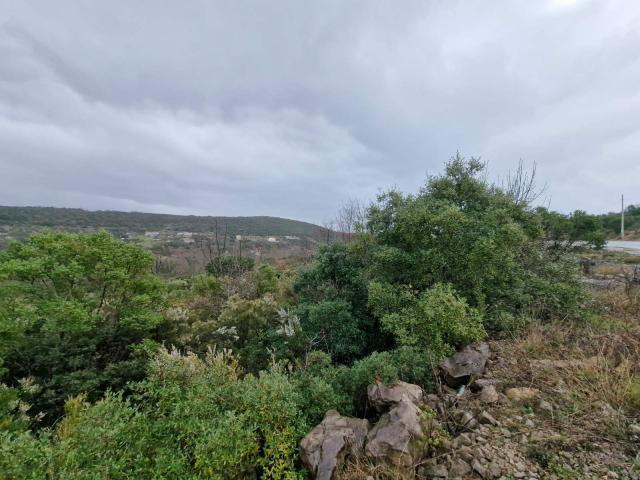 Prodaje se plac 1575m2, Visnjeva-Opstina Kotor. 