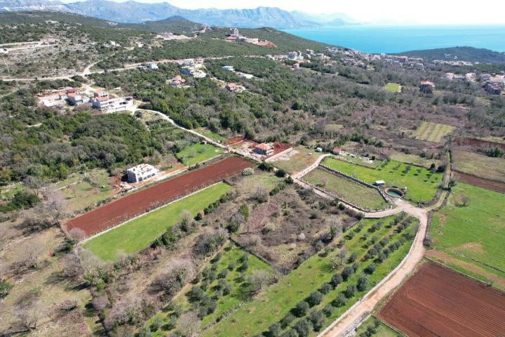 Na prodaju predivan ravan plac od 3520m2 , Krimovica-opstina Kotor. 