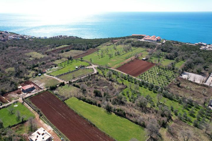 Na prodaju predivan ravan plac od 3520m2 , Krimovica-opstina Kotor. 