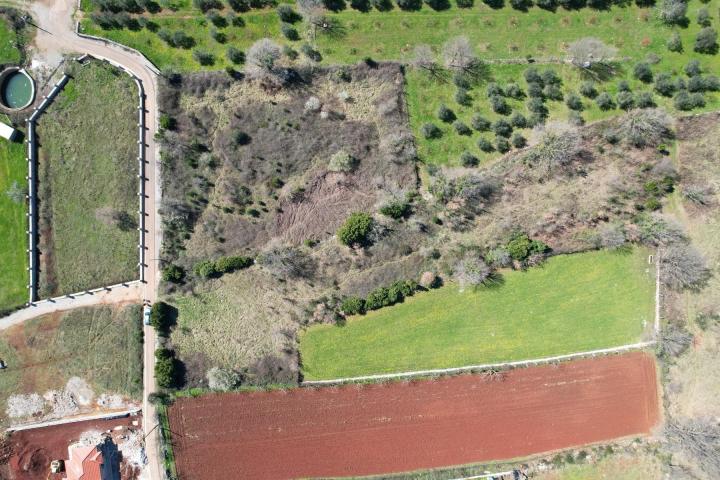 Na prodaju predivan ravan plac od 3520m2 , Krimovica-opstina Kotor. 
