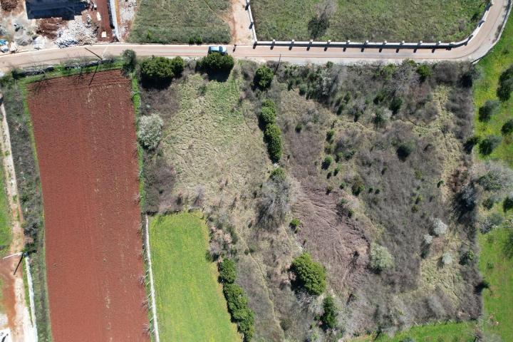Na prodaju predivan ravan plac od 3520m2 , Krimovica-opstina Kotor. 