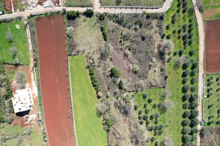 Na prodaju predivan ravan plac od 3520m2 , Krimovica-opstina Kotor. 