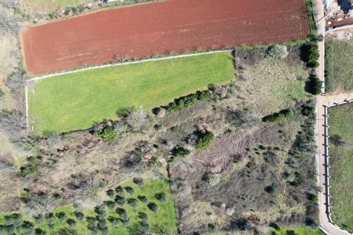 Na prodaju predivan ravan plac od 3520m2 , Krimovica-opstina Kotor. 