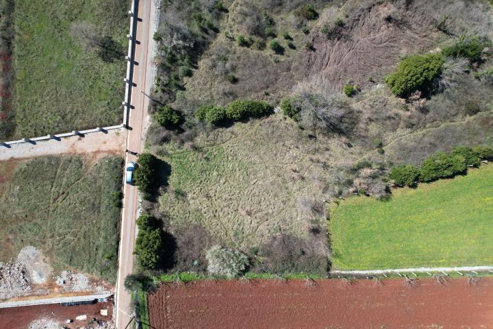 Na prodaju predivan ravan plac od 3520m2 , Krimovica-opstina Kotor. 