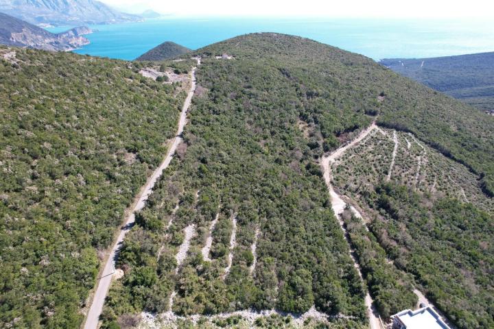 Zemljište 3542m² u Višnjevu, Kotor
