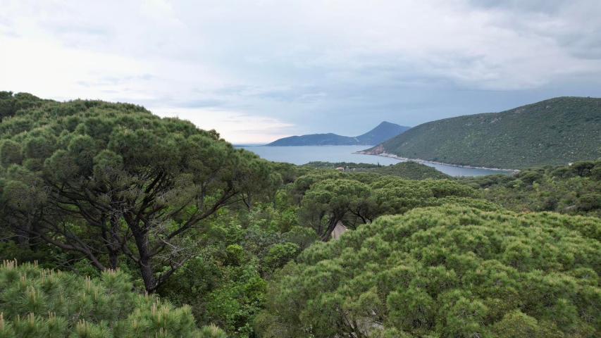 Plac 1,046m2 sa panoramskim pogledom na more u naselju Mirište (Žanjice), Opstina Herceg Novi