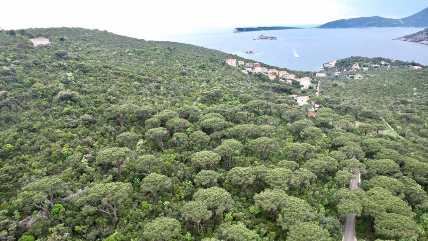 Plac 1,046m2 sa panoramskim pogledom na more u naselju Mirište (Žanjice), Opstina Herceg Novi