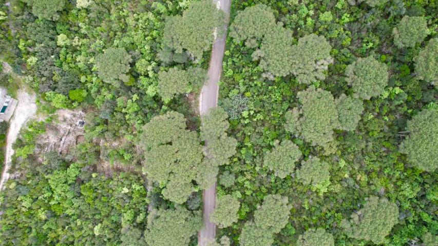 Plac 1,046m2 sa panoramskim pogledom na more u naselju Mirište (Žanjice), Opstina Herceg Novi