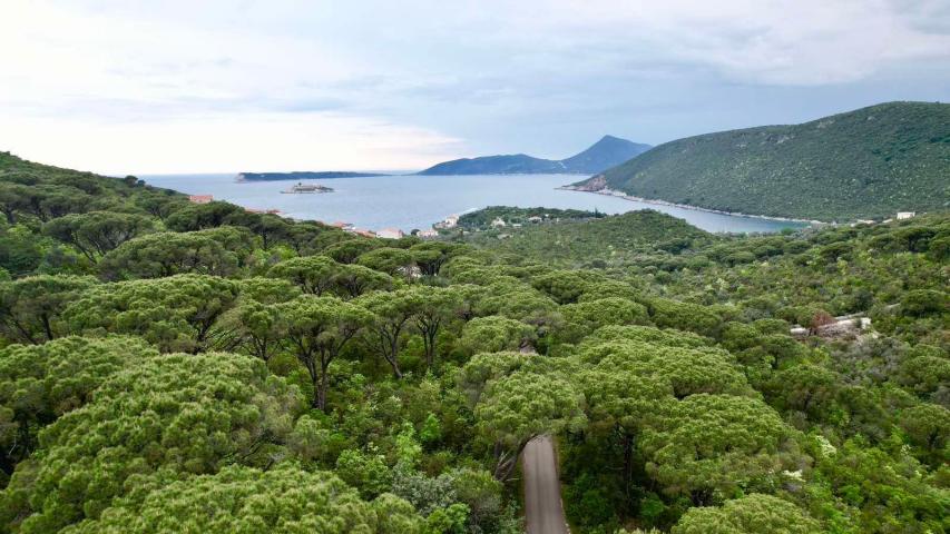 Plac 1,046m2 sa panoramskim pogledom na more u naselju Mirište (Žanjice), Opstina Herceg Novi