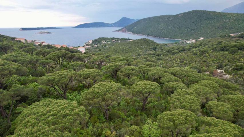 Plac 1,046m2 sa panoramskim pogledom na more u naselju Mirište (Žanjice), Opstina Herceg Novi