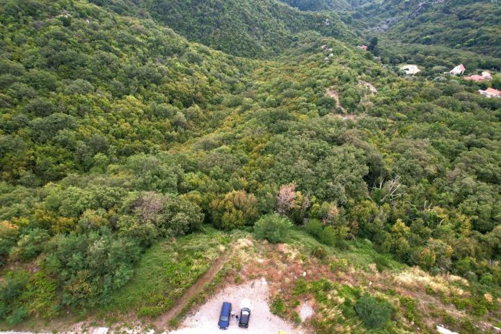 Zemljiste 20000m2 Markovici, Budva