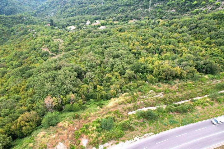Zemljiste 20000m2 Markovici, Budva