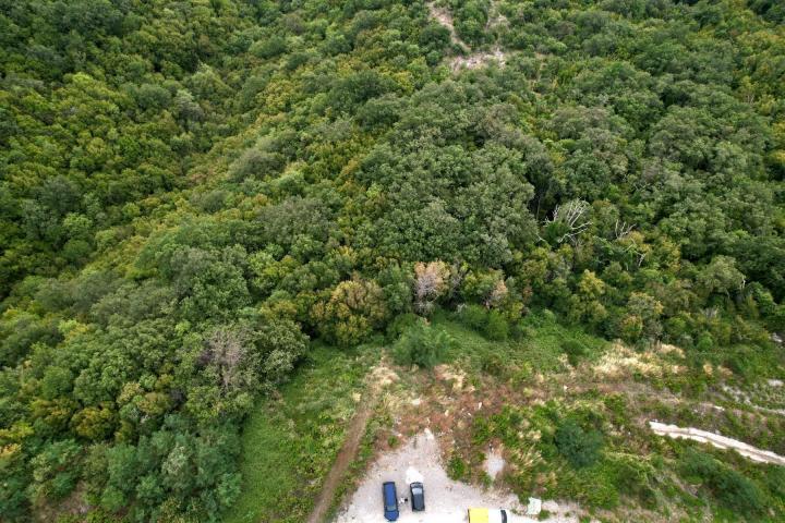 Zemljiste 20000m2 Markovici, Budva
