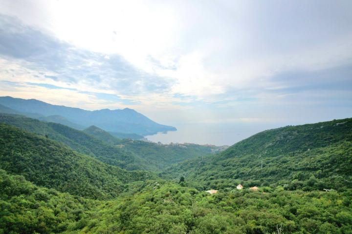 Zemljiste 20000m2 Markovici, Budva