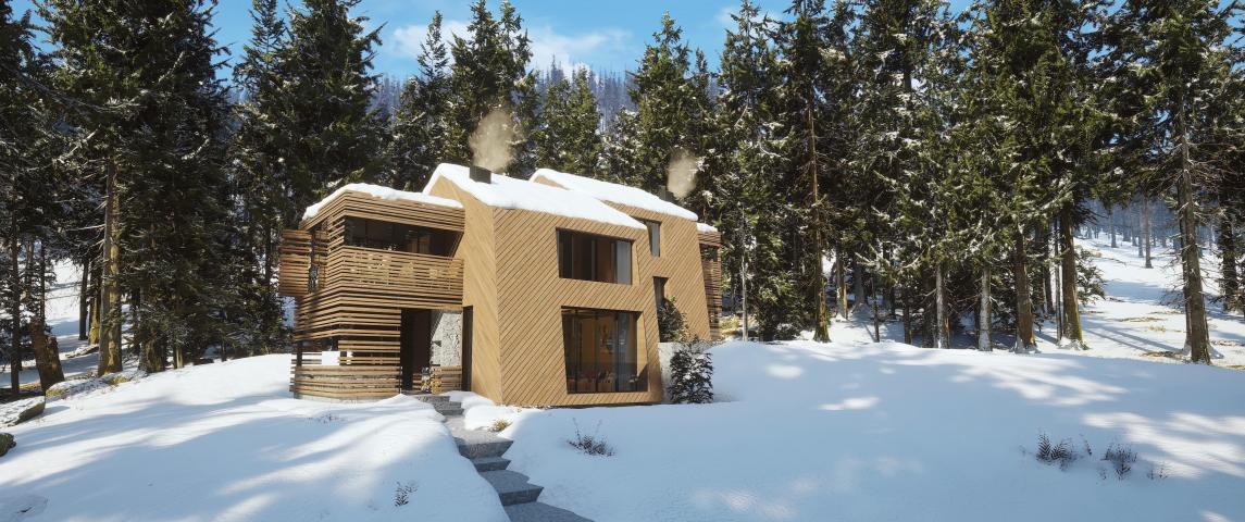 Ekskluzivna prodaja!!Novi projekat na severu Crne Gore (KOLASIN) -10 luksuznih vila sa apartmanima n