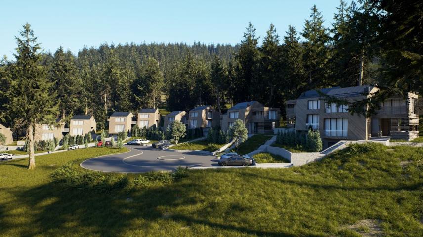 Apartman na 3 nivoa u planinskoj vili 190m2-Kolasin