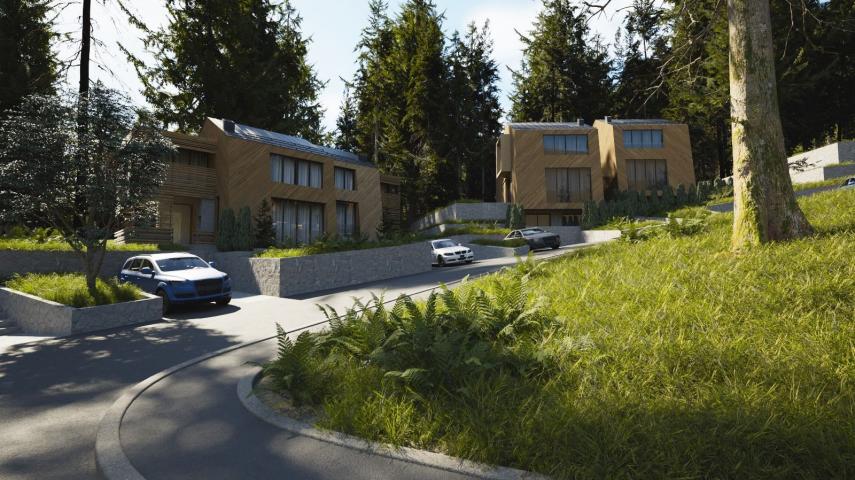 Apartman na 3 nivoa u planinskoj vili 190m2-Kolasin