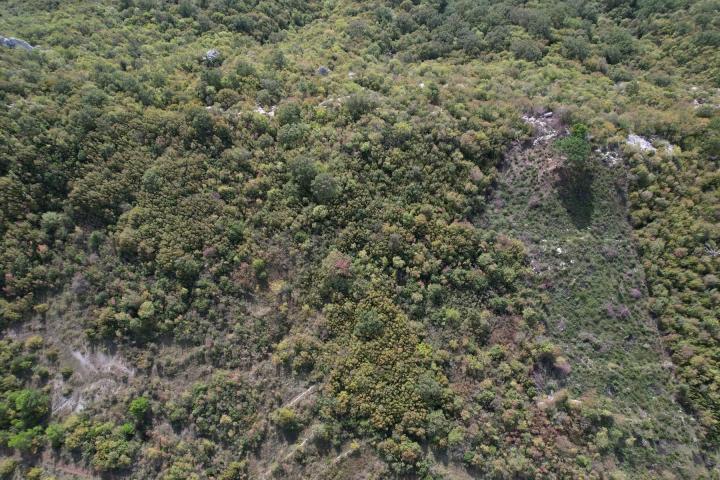 Plac 4000m2 sa Pogledom na Budvansku Rivijeru u Lapcicima
