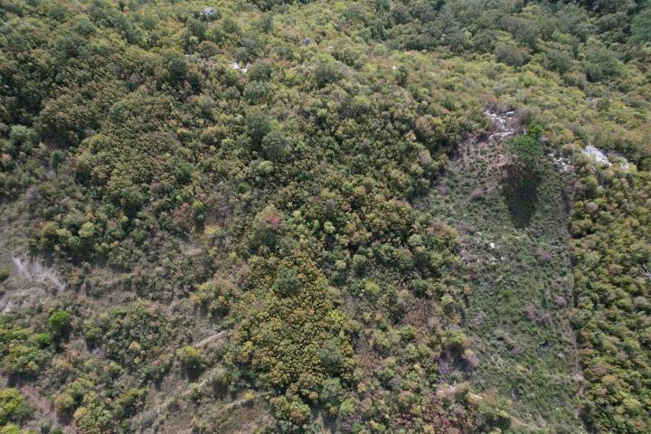 Plac 4000m2 sa Pogledom na Budvansku Rivijeru u Lapcicima