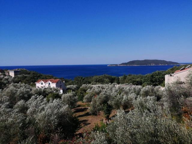 Dve kuće s pogledom na more Kamenovo, Budva