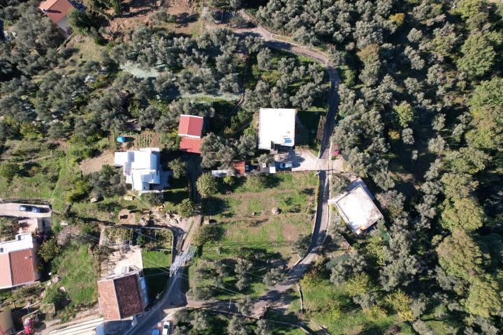 Plac 2400m2 sa ucrtanom kucom od 154m2 u Baru