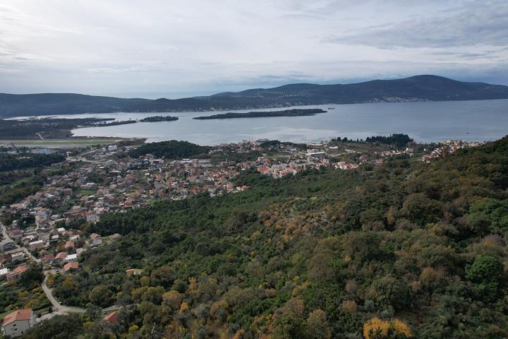 Prodaja urbanizovanog zemljista 9.160 m² sa utu uslovima – Mrčevac, Tivat