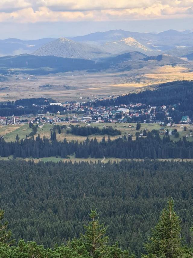 Bosače, Žabljak- Zemljiste 40,000m2 netaknute prirode sa panoramskim pogledom