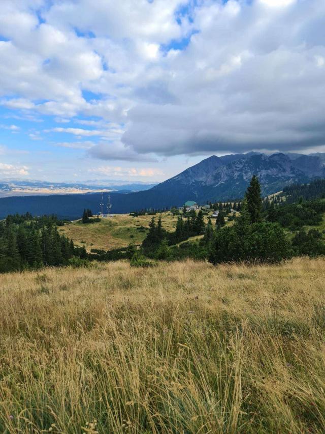 Bosače, Žabljak- Zemljiste 40,000m2 netaknute prirode sa panoramskim pogledom