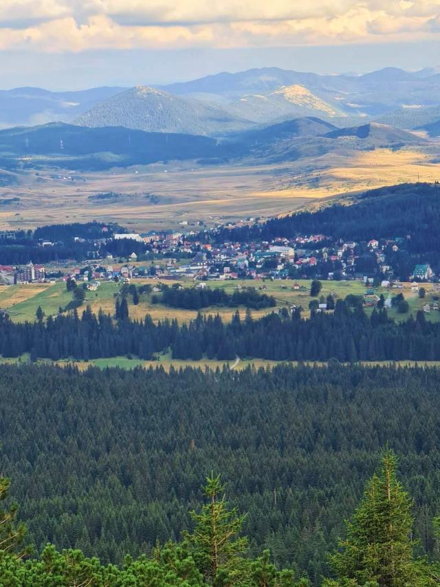Bosače, Žabljak- Zemljiste 40,000m2 netaknute prirode sa panoramskim pogledom